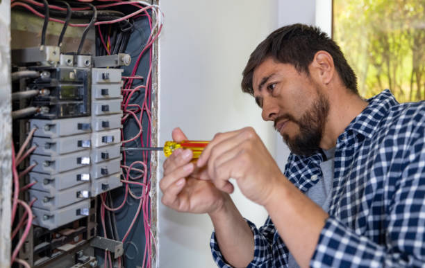 Best Home Electrical Repair  in Wanatah, IN